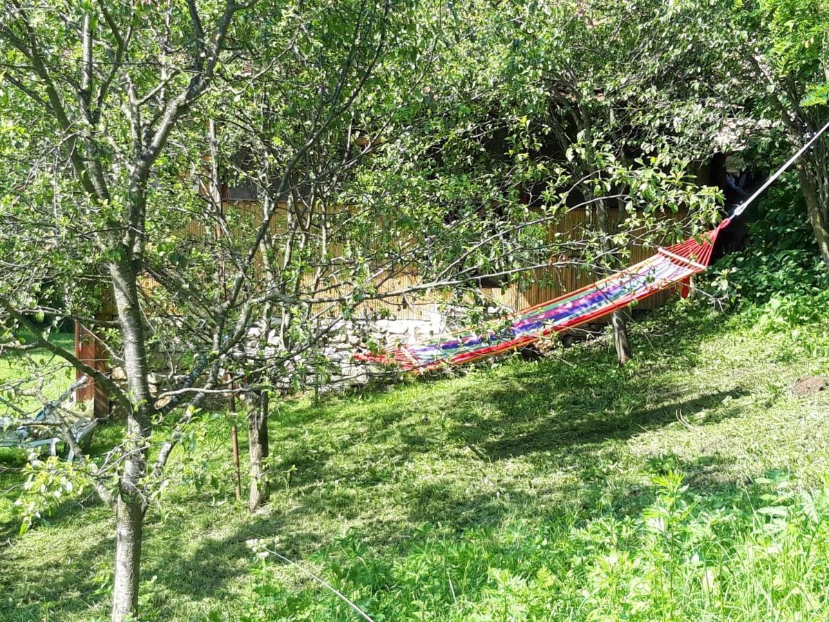 Casa La Casiru 17 Villa Straja  Dış mekan fotoğraf